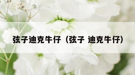 弦子迪克牛仔（弦子 迪克牛仔）