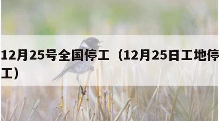 12月25号全国停工（12月25日工地停工）