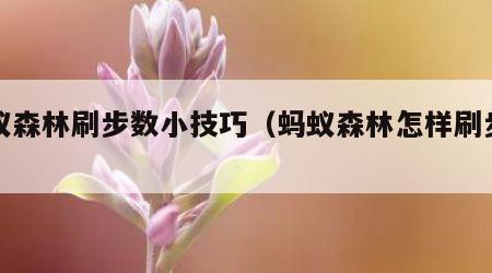 蚂蚁森林刷步数小技巧（蚂蚁森林怎样刷步数）