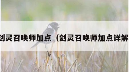 剑灵召唤师加点（剑灵召唤师加点详解）