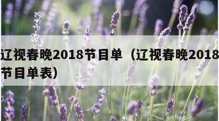 辽视春晚2018节目单（辽视春晚2018节目单表）