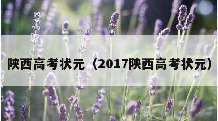 陕西高考状元（2017陕西高考状元）