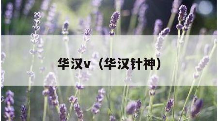 华汉v（华汉针神）