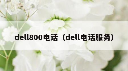 dell800电话（dell电话服务）