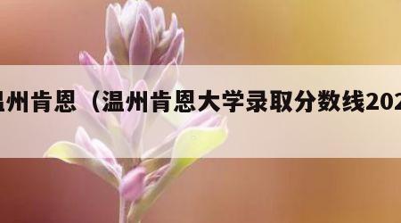 温州肯恩（温州肯恩大学录取分数线2023）