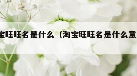 淘宝旺旺名是什么（淘宝旺旺名是什么意思?）