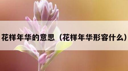 花样年华的意思（花样年华形容什么）