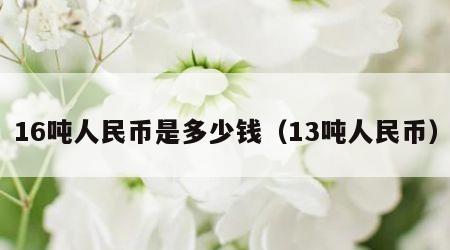 16吨人民币是多少钱（13吨人民币）