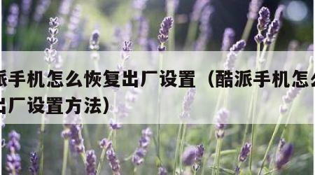 酷派手机怎么恢复出厂设置（酷派手机怎么恢复出厂设置方法）