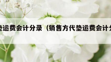 代垫运费会计分录（销售方代垫运费会计分录）