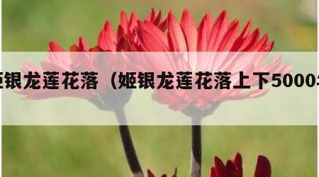 姬银龙莲花落（姬银龙莲花落上下5000年）