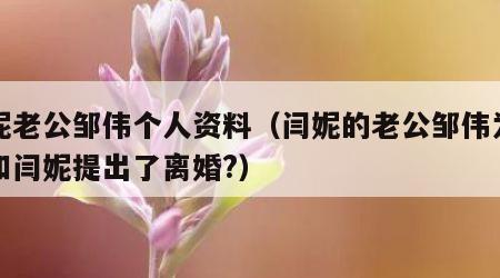 闫妮老公邹伟个人资料（闫妮的老公邹伟为什么和闫妮提出了离婚?）