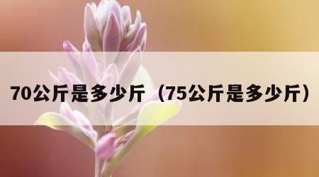 70公斤是多少斤（75公斤是多少斤）