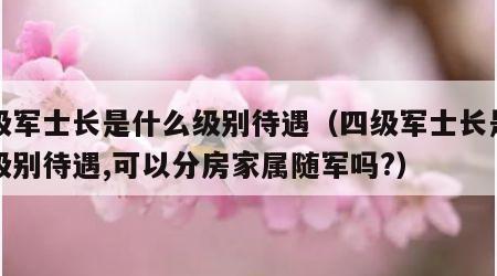 四级军士长是什么级别待遇（四级军士长是什么级别待遇,可以分房家属随军吗?）