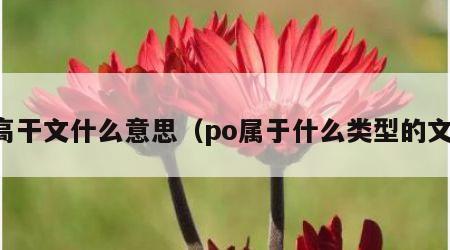 高干文什么意思（po属于什么类型的文）