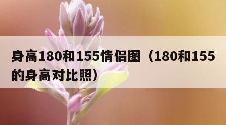 身高180和155情侣图（180和155的身高对比照）