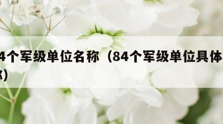 84个军级单位名称（84个军级单位具体名称）