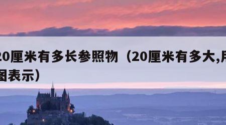 20厘米有多长参照物（20厘米有多大,用图表示）