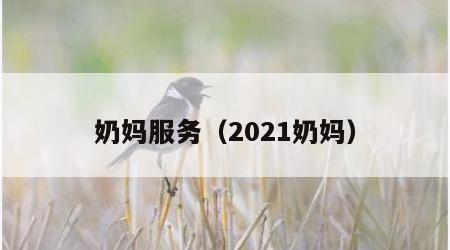 奶妈服务（2021奶妈）