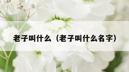 老子叫什么（老子叫什么名字）