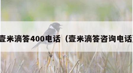 壹米滴答400电话（壹米滴答咨询电话）