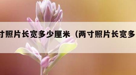 两寸照片长宽多少厘米（两寸照片长宽多少?）