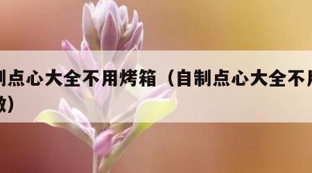 自制点心大全不用烤箱（自制点心大全不用烤箱做）