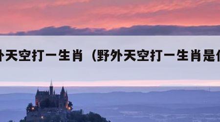 野外天空打一生肖（野外天空打一生肖是什么）