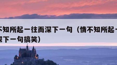 情不知所起一往而深下一句（情不知所起一往而深下一句搞笑）