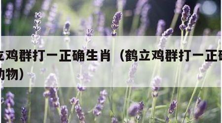 鹤立鸡群打一正确生肖（鹤立鸡群打一正确生肖动物）