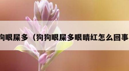 狗狗眼屎多（狗狗眼屎多眼睛红怎么回事啊）