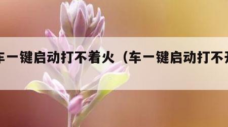 汽车一键启动打不着火（车一键启动打不开火）