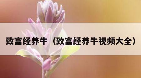 致富经养牛（致富经养牛视频大全）