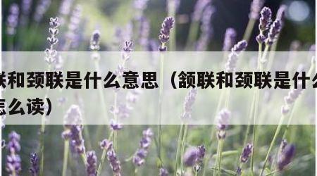 颔联和颈联是什么意思（颔联和颈联是什么意思怎么读）