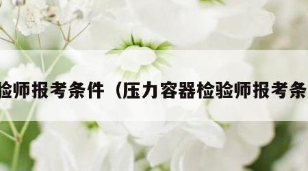 检验师报考条件（压力容器检验师报考条件）