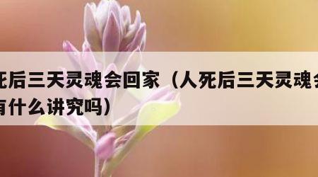 人死后三天灵魂会回家（人死后三天灵魂会回家有什么讲究吗）