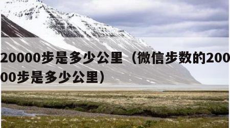 20000步是多少公里（微信步数的20000步是多少公里）