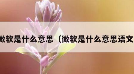 微软是什么意思（微软是什么意思语文）