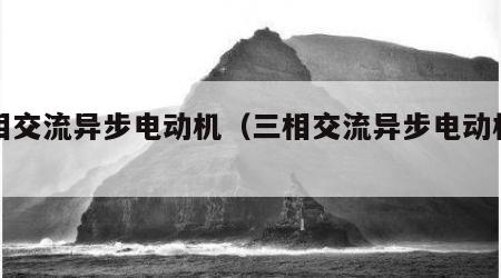 三相交流异步电动机（三相交流异步电动机分类）