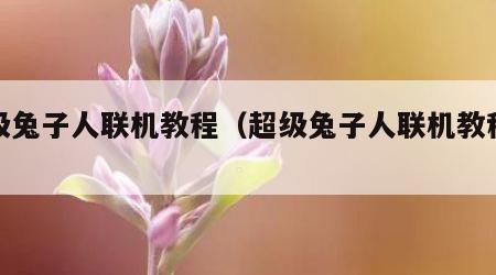 超级兔子人联机教程（超级兔子人联机教程视频）