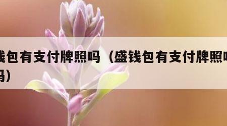 盛钱包有支付牌照吗（盛钱包有支付牌照吗安全吗）