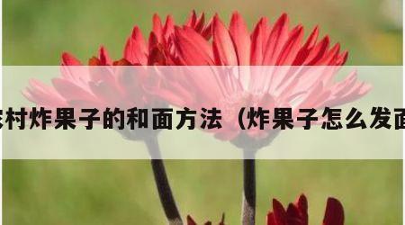 农村炸果子的和面方法（炸果子怎么发面）