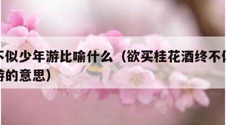 终不似少年游比喻什么（欲买桂花酒终不似少年游的意思）