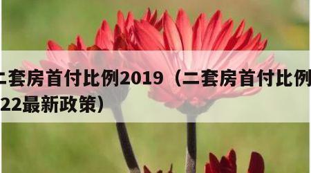 二套房首付比例2019（二套房首付比例2022最新政策）