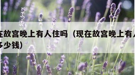 现在故宫晚上有人住吗（现在故宫晚上有人住吗多少钱）