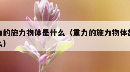 重力的施力物体是什么（重力的施力物体都是什么）