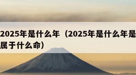 2025年是什么年（2025年是什么年是属于什么命）