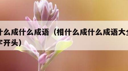 相什么成什么成语（相什么成什么成语大全四个字开头）