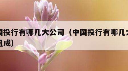 中国投行有哪几大公司（中国投行有哪几大公司组成）