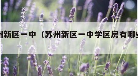 苏州新区一中（苏州新区一中学区房有哪些小区）